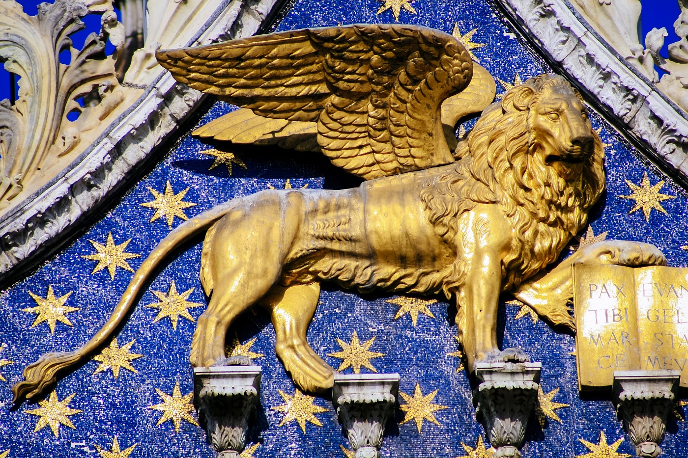 Dom Wenecki Nysa. Dawniej Wielki Młyn Nysa. Historia.